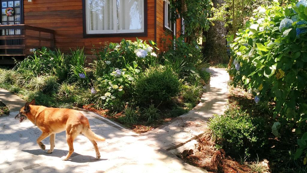 Sobrado Estilo Alemao Villa Canela Kültér fotó